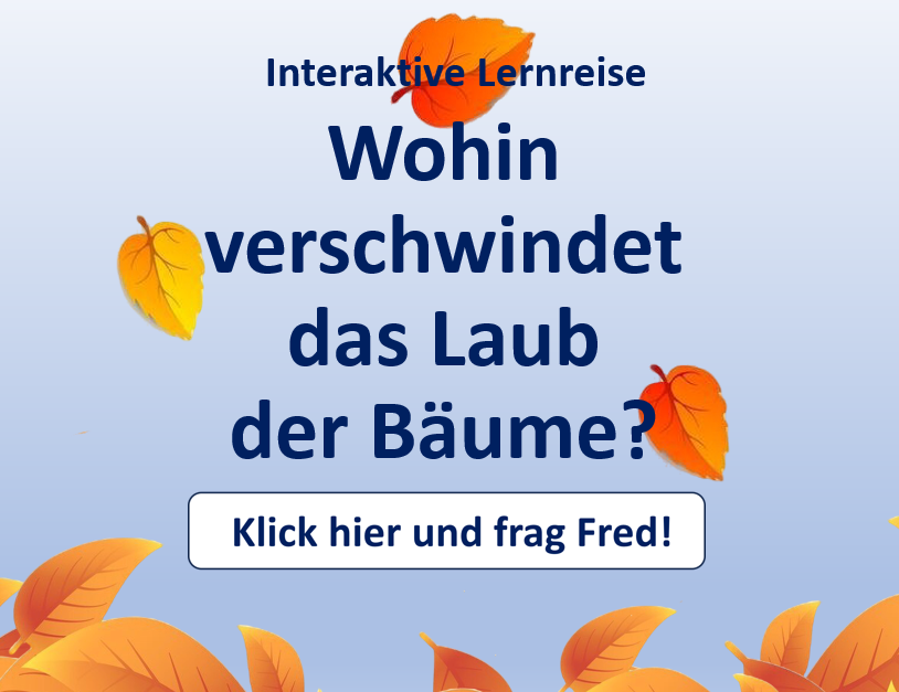 Titelbild einer interaktiven Lernreise